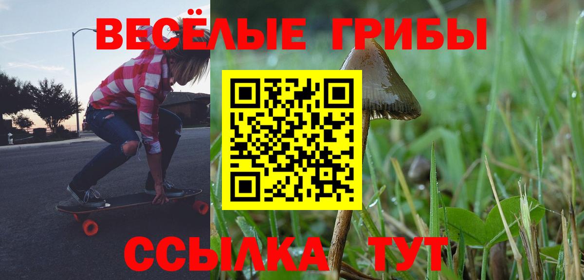 Галлюциногенные грибы Cubensis  Вход с VPN  где купить   Кашира 